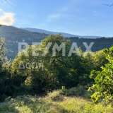  For Sale - (€ 0 / m2), Agricultural 5397 m2 Mouresi 7333388 thumb0