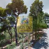  (For Sale) Land Plot || Athens North/Penteli - 1.000 Sq.m, 550.000€ Penteli 6533399 thumb0