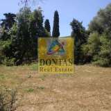  (For Sale) Land Plot || Chios/Kardamyla - 12.000 Sq.m, 150.000€ Kardamila 8033604 thumb1