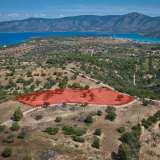  For Sale - (€ 0 / m2), Agricultural 6336 m2 Kranidi 7833716 thumb4