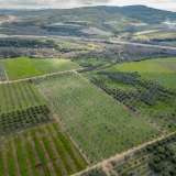  For Sale - (€ 0 / m2), Agricultural 15000 m2 Orfano 8133904 thumb4