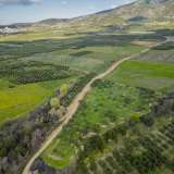  For Sale - (€ 0 / m2), Agricultural 6900 m2 Orfano 8133905 thumb4