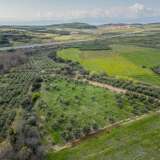  For Sale - (€ 0 / m2), Agricultural 6900 m2 Orfano 8133905 thumb2