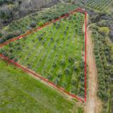  For Sale - (€ 0 / m2), Agricultural 6900 m2 Orfano 8133905 thumb0