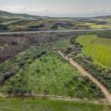  For Sale - (€ 0 / m2), Agricultural 6900 m2 Orfano 8133905 thumb1