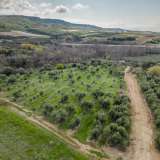  For Sale - (€ 0 / m2), Agricultural 6900 m2 Orfano 8133905 thumb8
