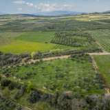  For Sale - (€ 0 / m2), Agricultural 6900 m2 Orfano 8133905 thumb3