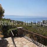  Evia - Amarynthos detached house in 4200sqm plot with sea view Amarynthos 4434128 thumb11