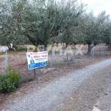  For Sale - (€ 0 / m2), Agricultural 2752 m2 Alonnisos 7534278 thumb3