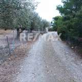  For Sale - (€ 0 / m2), Agricultural 2752 m2 Alonnisos 7534278 thumb4