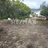  For Sale - (€ 0 / m2), Agricultural 2752 m2 Alonnisos 7534278 thumb7
