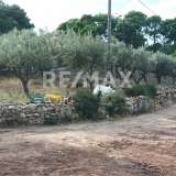  For Sale - (€ 0 / m2), Agricultural 2752 m2 Alonnisos 7534278 thumb5