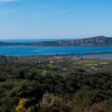  For Sale - (€ 0 / m2), Agricultural 8200 m2 Pylos 7934581 thumb2