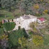  Plot in Tivat, Mrčevac - 9,160m2 with an Old Stone House Tivat 8034615 thumb5