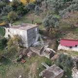 Plot in Tivat, Mrčevac - 9,160m2 with an Old Stone House Tivat 8034615 thumb4