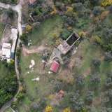  Plot in Tivat, Mrčevac - 9,160m2 with an Old Stone House Tivat 8034615 thumb12