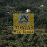  (For Sale) Land Plot || Chios/Kardamyla - 6.500 Sq.m, 45.000€ Kardamila 8034793 thumb3