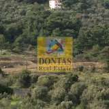  (For Sale) Land Plot || Chios/Kardamyla - 6.500 Sq.m, 45.000€ Kardamila 8034793 thumb2