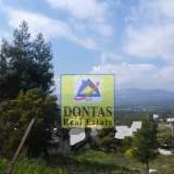  (For Sale) Land Plot || Athens North/Ekali - 850 Sq.m, 450.000€ Athens 8034794 thumb0