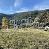  Plot of land suitable for complex of houses at the foot of the Rila mountain Mala Tsarkva village 7634959 thumb5