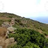  (For Sale) Land Plot || Cyclades/Andros-Hydrousa - 19.015 Sq.m, 100.000€ Andros (Chora) 4735482 thumb6