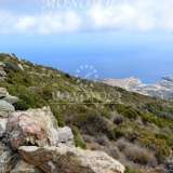 (For Sale) Land Plot || Cyclades/Andros-Hydrousa - 19.015 Sq.m, 100.000€ Andros (Chora) 4735482 thumb0