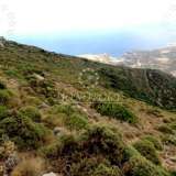  (For Sale) Land Plot || Cyclades/Andros-Hydrousa - 19.015 Sq.m, 100.000€ Andros (Chora) 4735482 thumb9