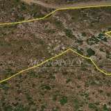  (For Sale) Land Plot || Cyclades/Andros-Hydrousa - 19.015 Sq.m, 100.000€ Andros (Chora) 4735482 thumb5