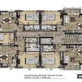   Sofia 5835536 thumb6