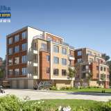   Sofia 5835536 thumb1