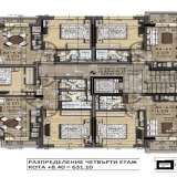   Sofia 5835536 thumb7