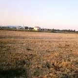 (For Sale) Land Agricultural Land  || Evoia/Avlona - 18.500 Sq.m, 70.000€ Avlona 7535547 thumb0