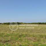  For Sale - (€ 0 / m2), Agricaltural 33000 m2 Moudania 3735918 thumb4