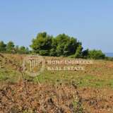  For Sale - (€ 0 / m2), Agricaltural 33000 m2 Moudania 3735918 thumb2