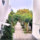  GRÜN-RUHIG-DA WILL ICH WOHNEN-Wunderschöne Doppelhaushälfte mit Garten und Dachterrasse Wien 8136200 thumb11
