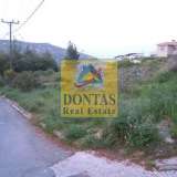  (For Sale) Land Plot || East Attica/Dionysos - 840 Sq.m, 320.000€ Dionysos 7136225 thumb2