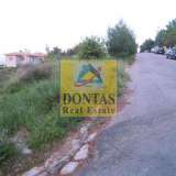  (For Sale) Land Plot || East Attica/Dionysos - 840 Sq.m, 320.000€ Dionysos 7136225 thumb1