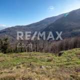  For Sale - (€ 0 / m2), Agricultural 4107 m2 Mouresi 7136003 thumb5