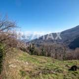  For Sale - (€ 0 / m2), Agricultural 4107 m2 Mouresi 7136003 thumb8