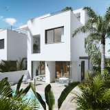  Exquisite Detached Villas in Torre de la Horadada Alicante 8136661 thumb3
