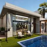  Detached Villas with Private Pool in Pilar de la Horadada Alicante 8136678 thumb4