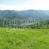  Investment property near Uzana  Zeleno Darvo village 7936073 thumb2