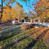   Pazardjik 6236888 thumb37