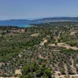  For Sale - (€ 0 / m2), Agricultural 40000 m2 Kranidi 7836921 thumb9