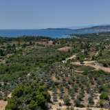  For Sale - (€ 0 / m2), Agricultural 40000 m2 Kranidi 7836921 thumb3