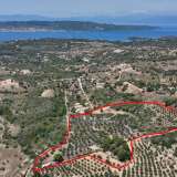  For Sale - (€ 0 / m2), Agricultural 40000 m2 Kranidi 7836921 thumb0