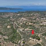  For Sale - (€ 0 / m2), Agricultural 40000 m2 Kranidi 7836921 thumb1