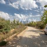  For Sale - (€ 0 / m2), Agricultural 3291 m2 Volos 7937125 thumb8