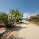  For Sale - (€ 0 / m2), Agricultural 3291 m2 Volos 7937125 thumb1