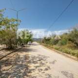  For Sale - (€ 0 / m2), Agricultural 3291 m2 Volos 7937125 thumb3